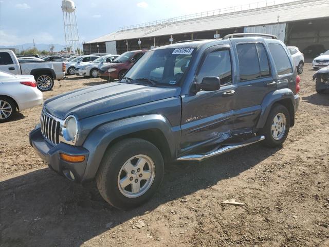 JEEP LIBERTY LI 2002 1j4gl58k02w351283