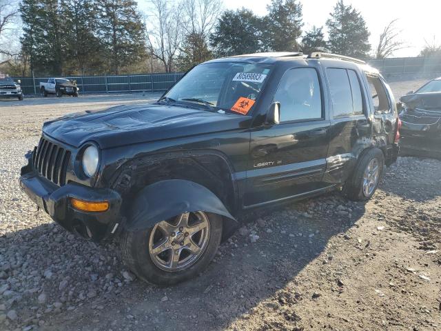 JEEP LIBERTY 2003 1j4gl58k03w509218