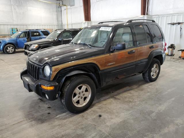 JEEP LIBERTY 2004 1j4gl58k04w274577