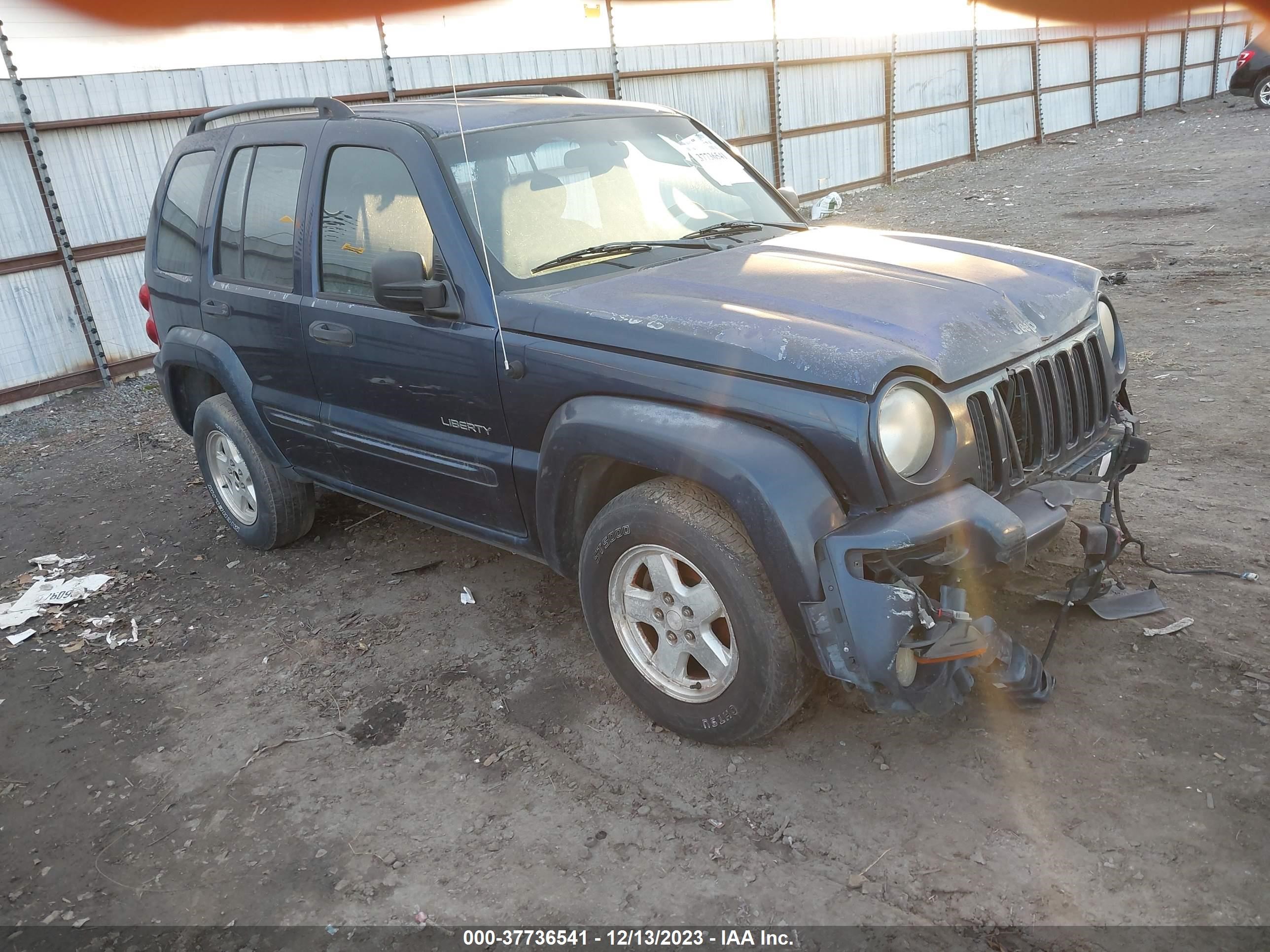 JEEP LIBERTY (NORTH AMERICA) 2004 1j4gl58k04w276944