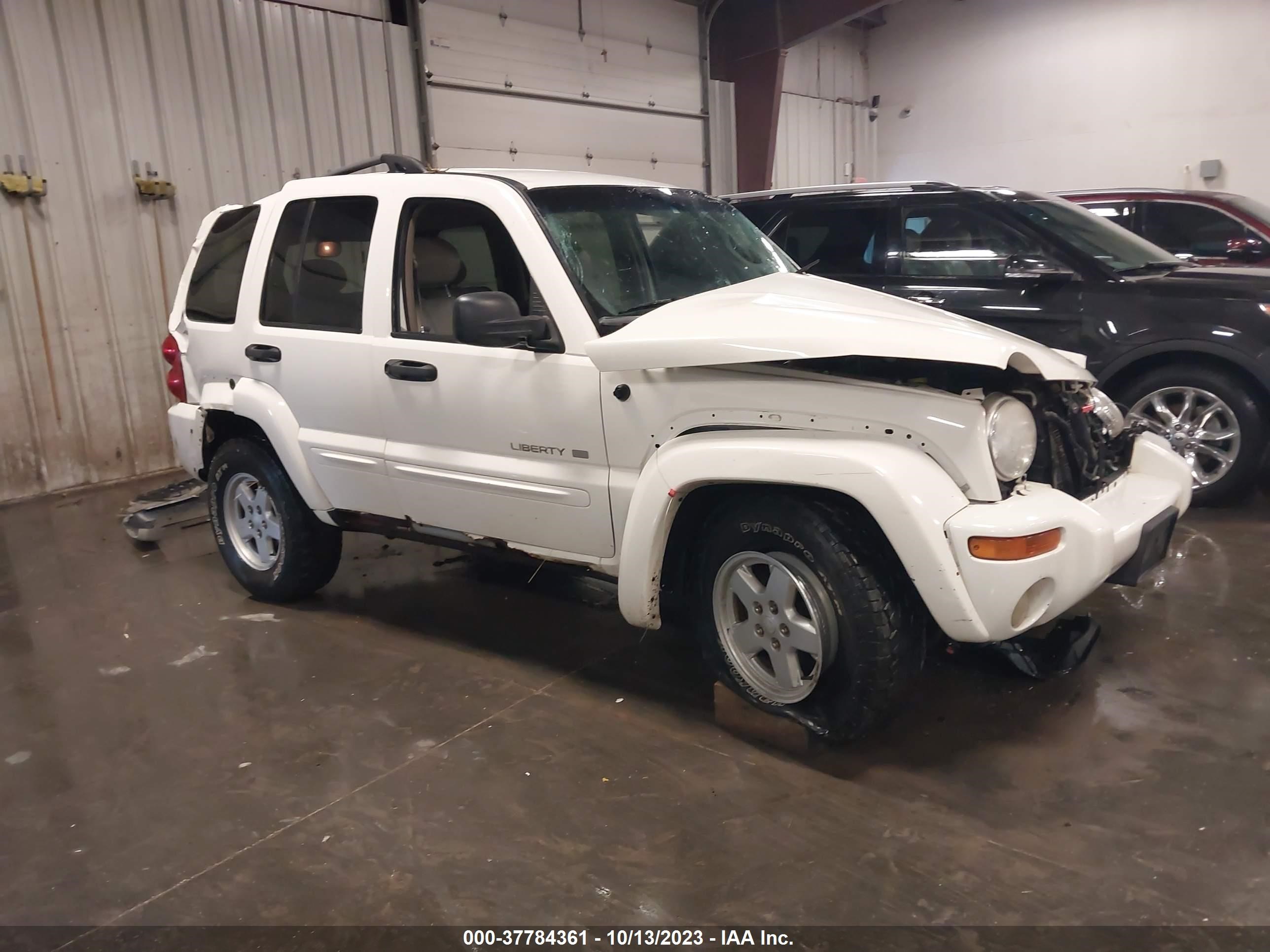 JEEP LIBERTY (NORTH AMERICA) 2002 1j4gl58k12w106024