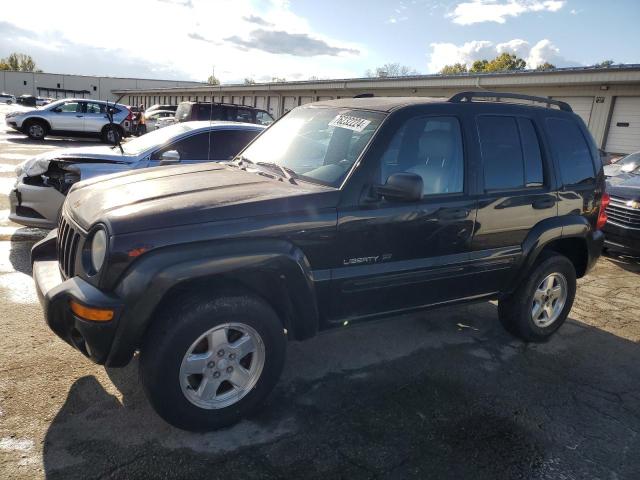 JEEP LIBERTY LI 2002 1j4gl58k12w179250