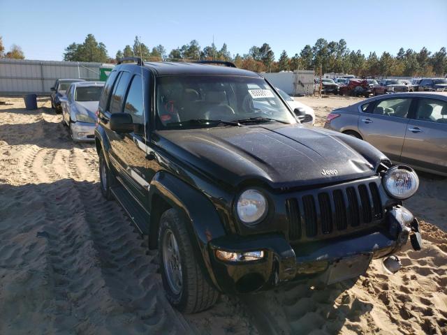 JEEP LIBERTY LI 2002 1j4gl58k12w279011