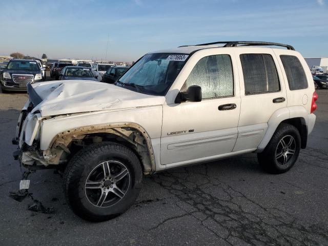 JEEP LIBERTY 2002 1j4gl58k12w296732