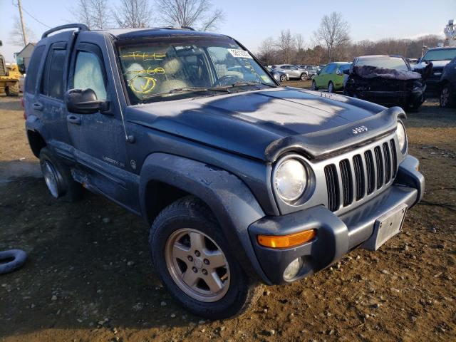 JEEP LIBERTY LI 2002 1j4gl58k12w312489