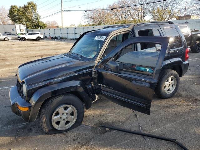 JEEP LIBERTY 2003 1j4gl58k13w577110