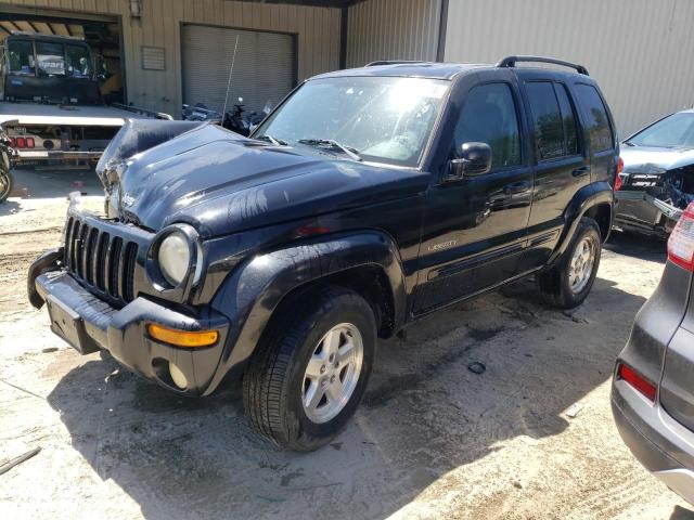 JEEP LIBERTY 2004 1j4gl58k14w112537