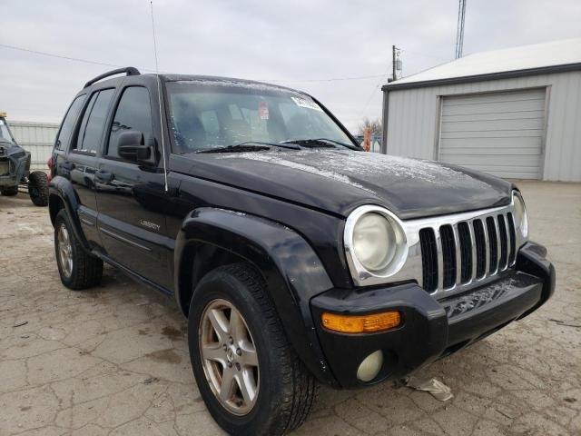 JEEP LIBERTY LI 2004 1j4gl58k14w125482