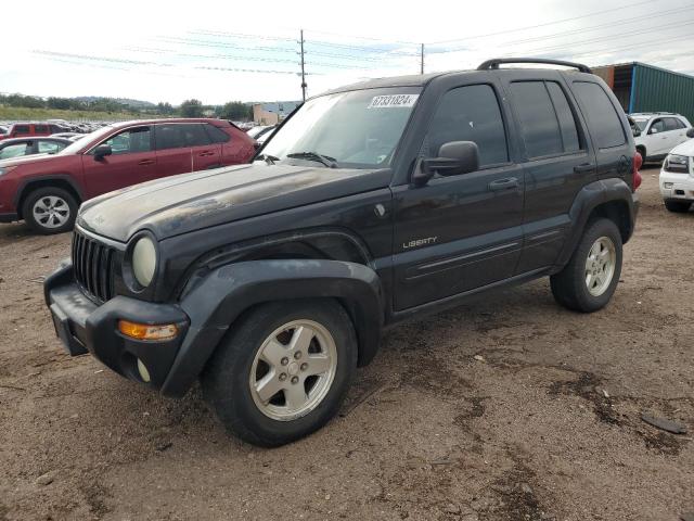 JEEP LIBERTY LI 2004 1j4gl58k14w154349