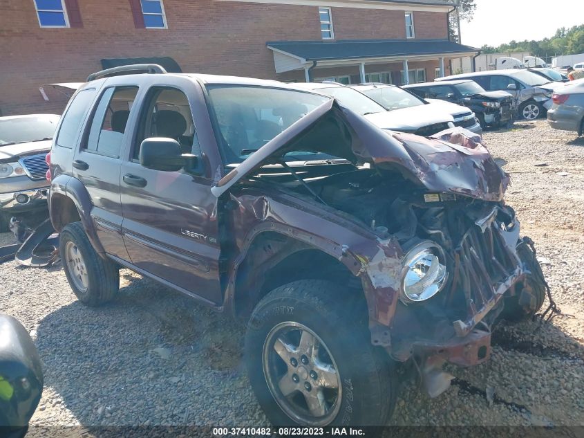 JEEP LIBERTY (NORTH AMERICA) 2002 1j4gl58k22w246471