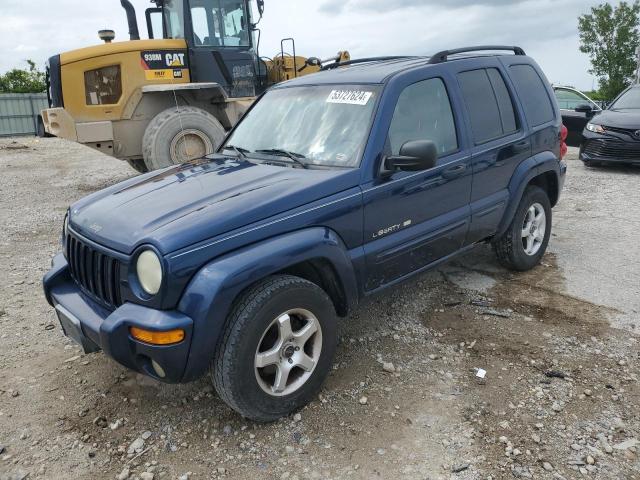 JEEP LIBERTY 2002 1j4gl58k22w257504