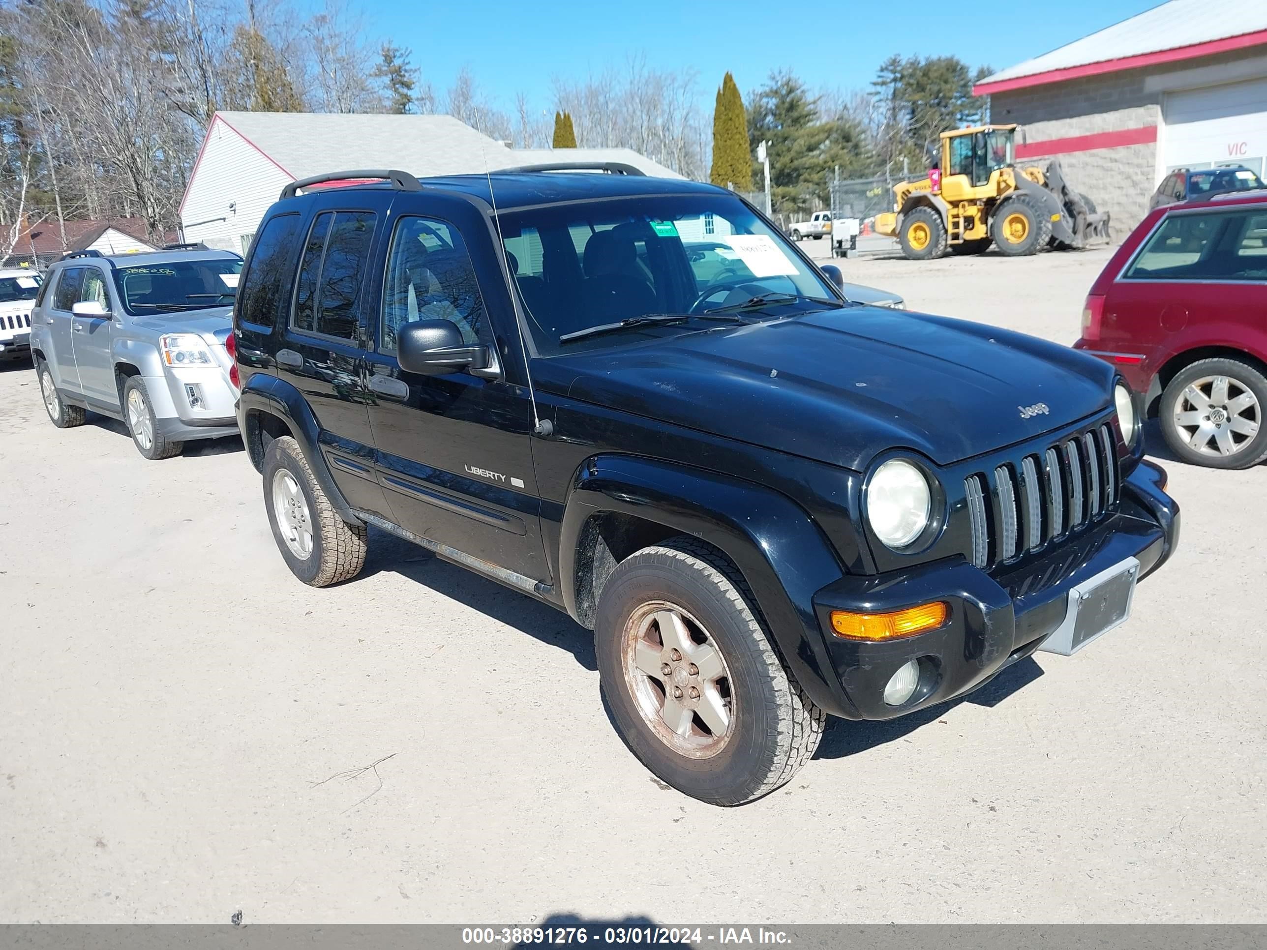 JEEP LIBERTY (NORTH AMERICA) 2002 1j4gl58k22w262654