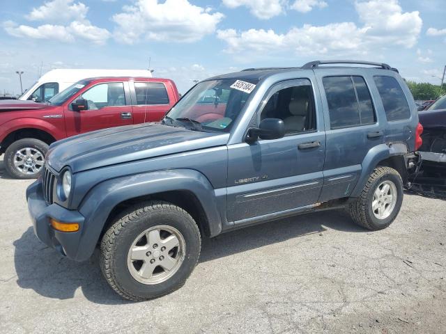 JEEP LIBERTY 2002 1j4gl58k22w301596