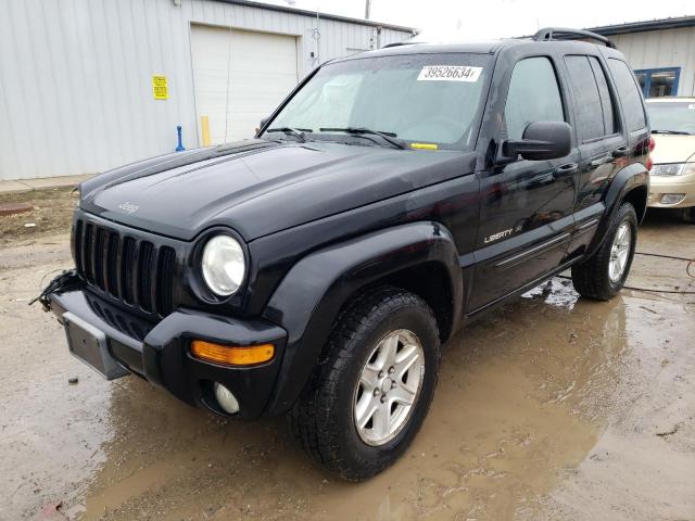 JEEP LIBERTY 2002 1j4gl58k22w353181