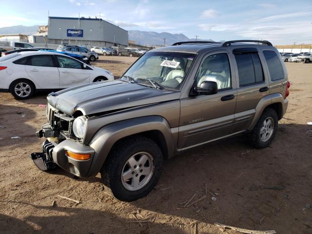 JEEP LIBERTY 2003 1j4gl58k23w582784