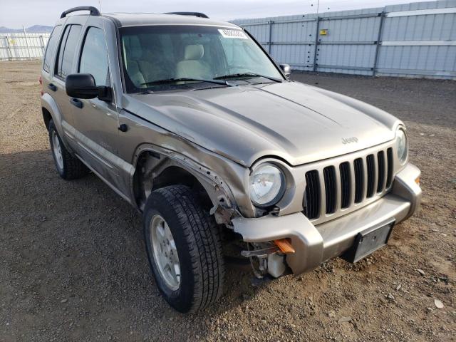 JEEP LIBERTY LI 2003 1j4gl58k23w612298