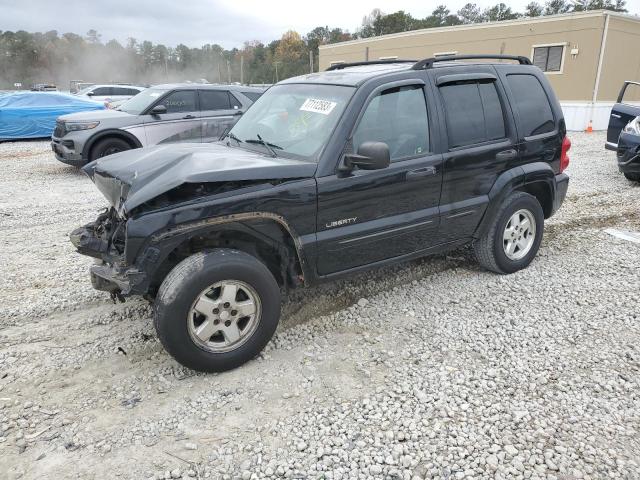 JEEP LIBERTY 2004 1j4gl58k24w149757