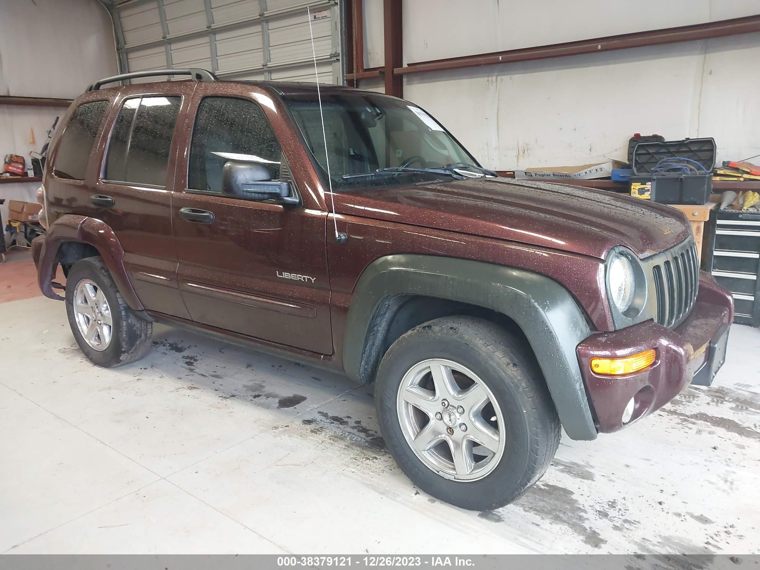 JEEP LIBERTY (NORTH AMERICA) 2004 1j4gl58k24w265511