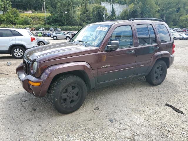 JEEP LIBERTY LI 2004 1j4gl58k24w270420