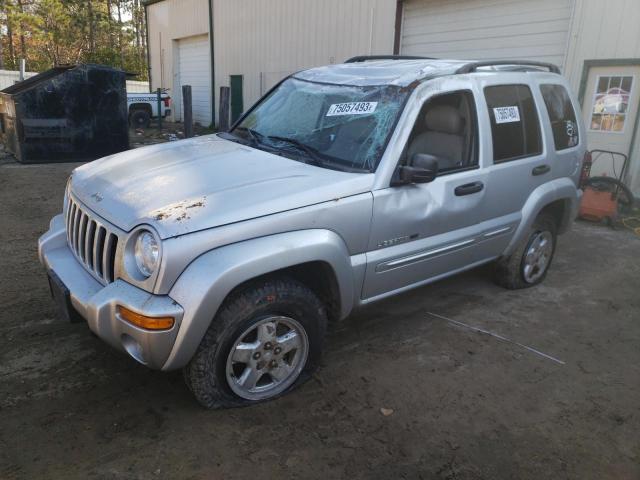 JEEP LIBERTY 2002 1j4gl58k32w157797