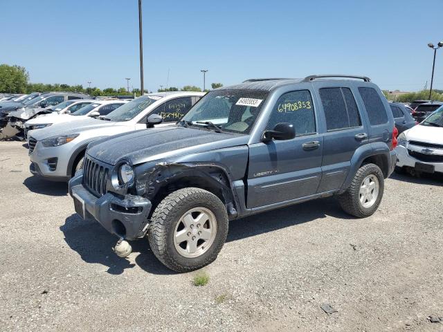 JEEP LIBERTY LI 2002 1j4gl58k32w285196