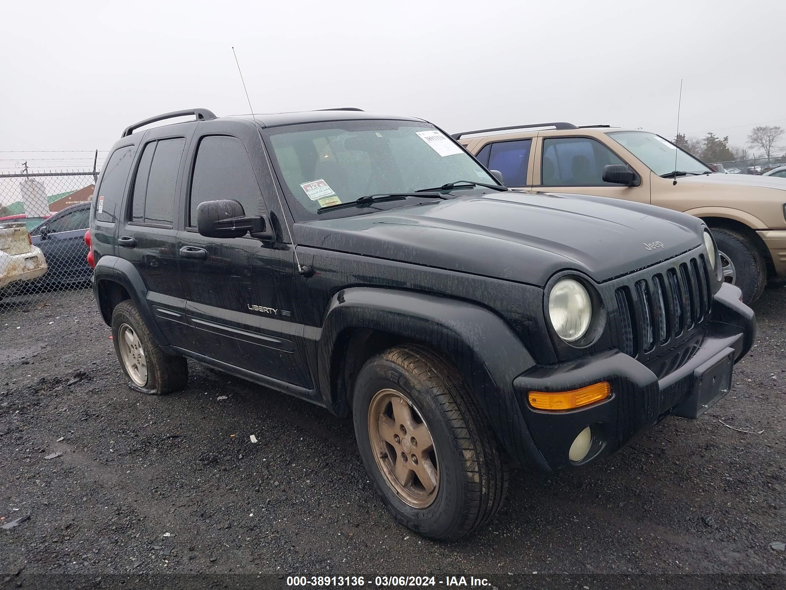 JEEP LIBERTY (NORTH AMERICA) 2003 1j4gl58k33w501274