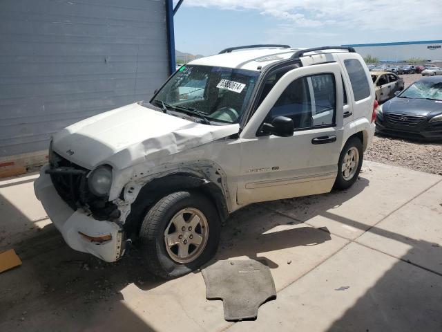 JEEP LIBERTY LI 2003 1j4gl58k33w575973