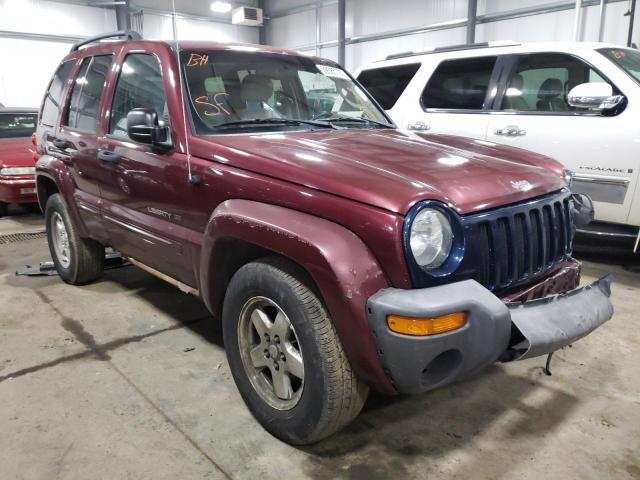 JEEP LIBERTY LI 2003 1j4gl58k33w620961