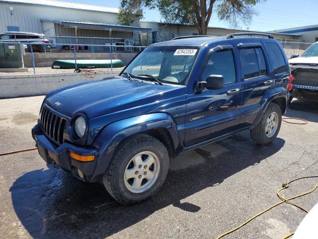 JEEP LIBERTY LI 2004 1j4gl58k34w104598