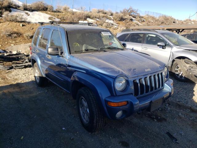 JEEP LIBERTY LI 2004 1j4gl58k34w234722