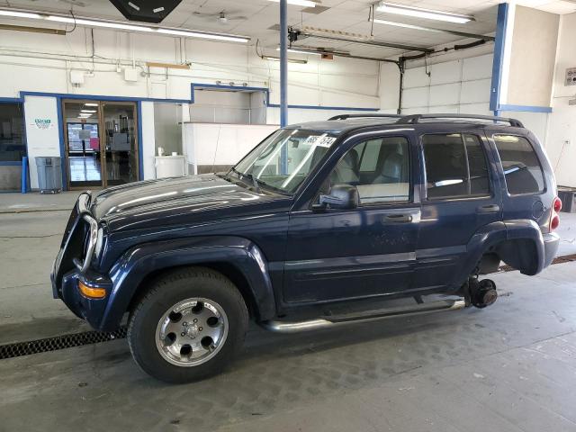 JEEP LIBERTY LI 2002 1j4gl58k42w141706