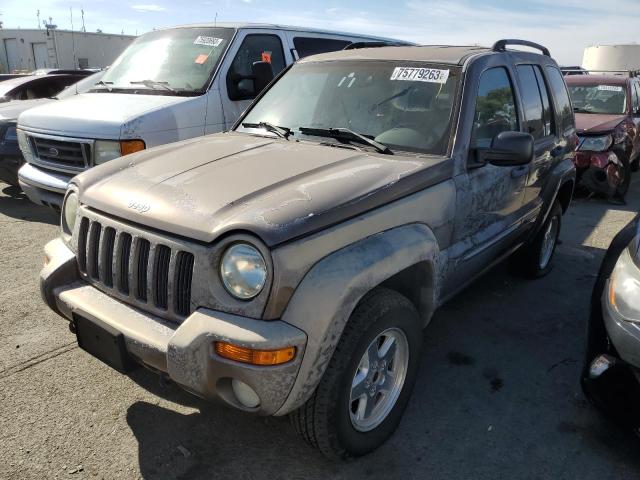 JEEP LIBERTY 2002 1j4gl58k42w218901