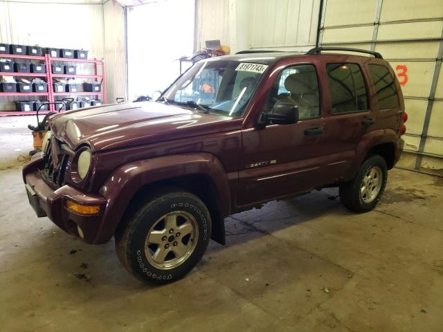 JEEP LIBERTY 2002 1j4gl58k42w221961