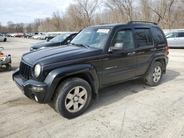 JEEP LIBERTY 2003 1j4gl58k43w621780