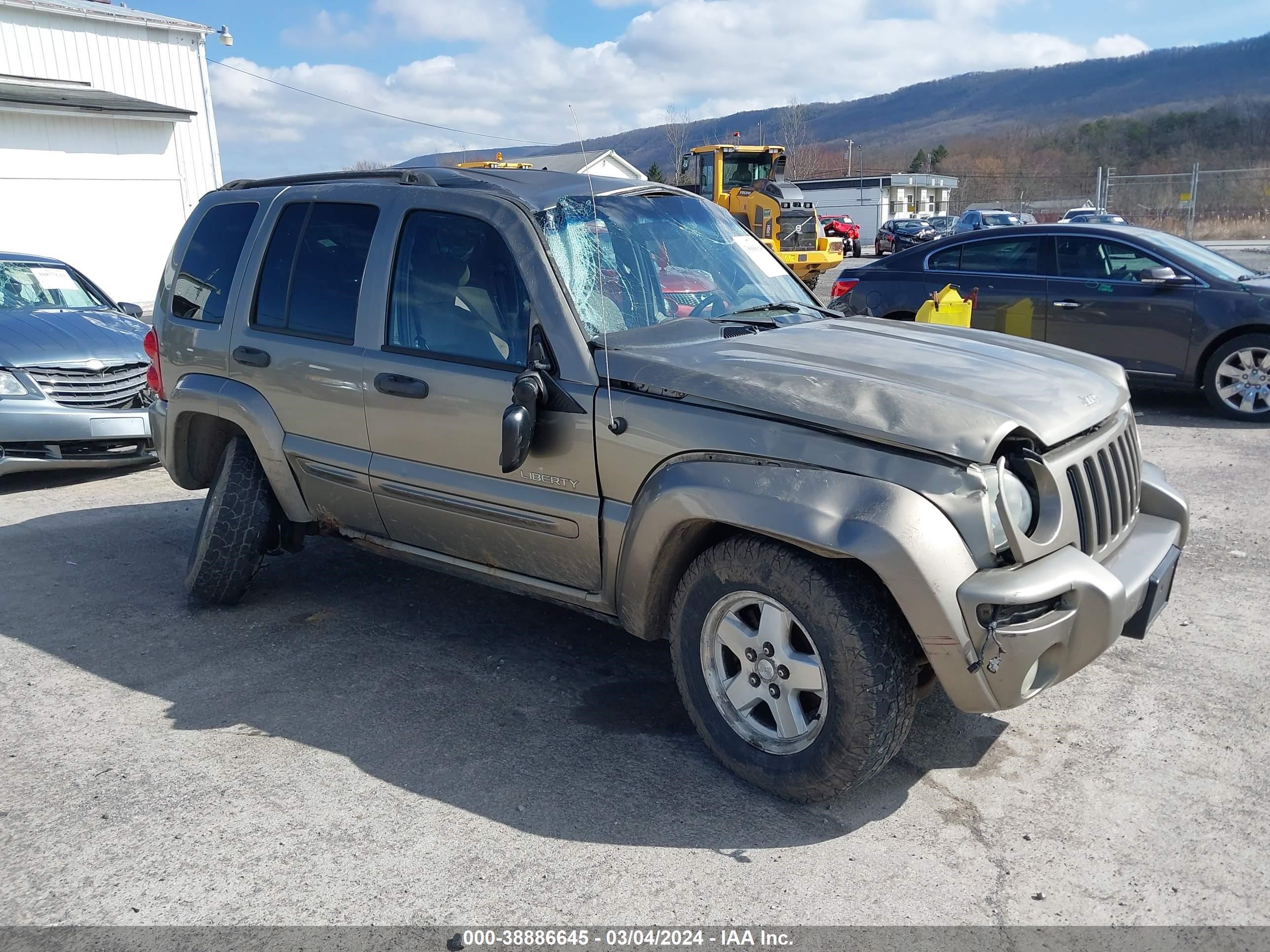 JEEP LIBERTY (NORTH AMERICA) 2004 1j4gl58k44w134614