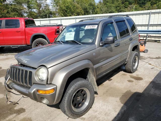 JEEP LIBERTY LI 2004 1j4gl58k44w232736