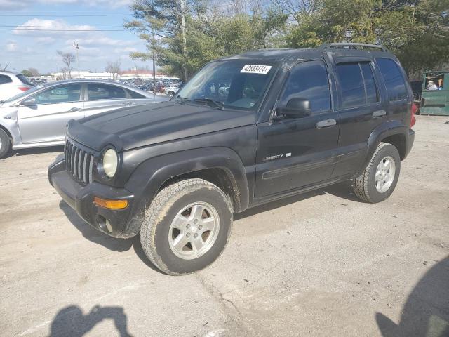 JEEP LIBERTY 2002 1j4gl58k52w104941