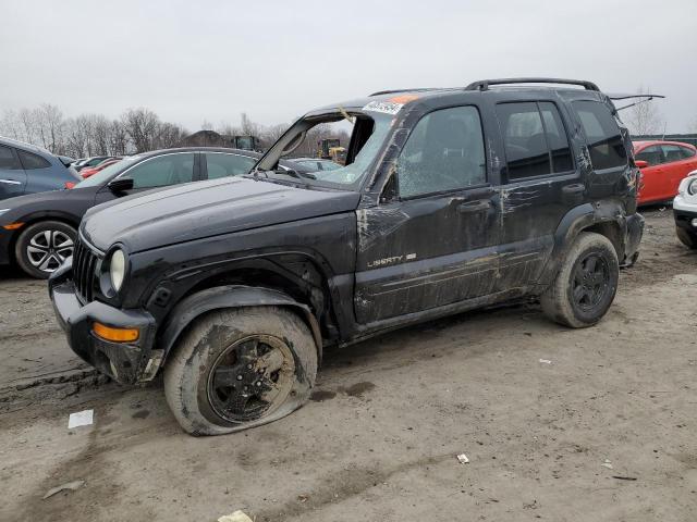 JEEP LIBERTY 2002 1j4gl58k52w254452