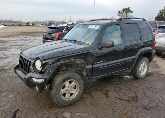 JEEP LIBERTY LI 2002 1j4gl58k52w307876