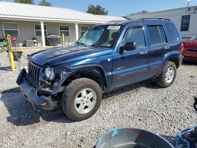 JEEP LIBERTY 2004 1j4gl58k54w193395