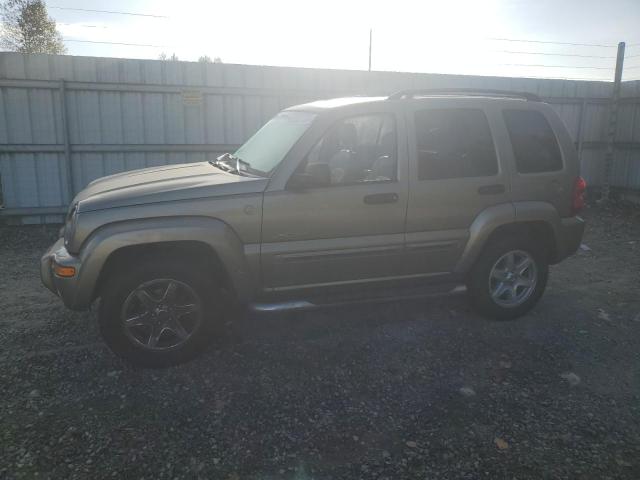 JEEP LIBERTY LI 2004 1j4gl58k54w262165