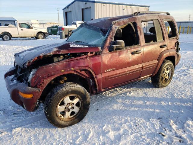 JEEP LIBERTY 2002 1j4gl58k62w109663