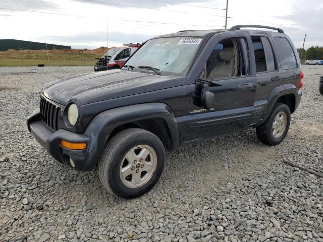 JEEP LIBERTY 2002 1j4gl58k62w139147