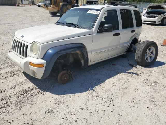 JEEP LIBERTY 2002 1j4gl58k62w254878