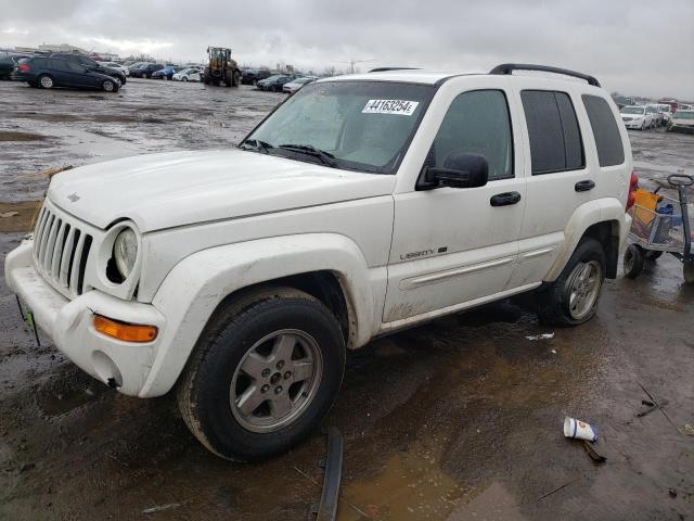 JEEP LIBERTY 2002 1j4gl58k62w271826