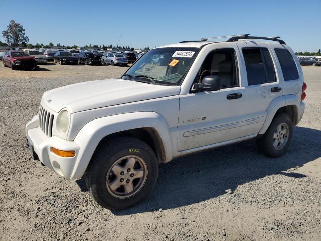 JEEP LIBERTY 2002 1j4gl58k62w308471