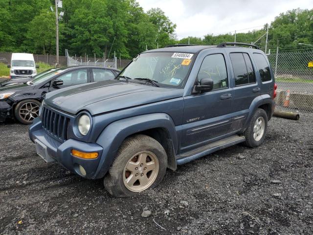 JEEP LIBERTY 2002 1j4gl58k62w318708