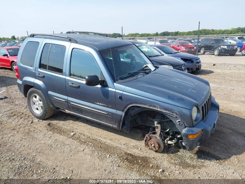 JEEP LIBERTY (NORTH AMERICA) 2002 1j4gl58k62w327103