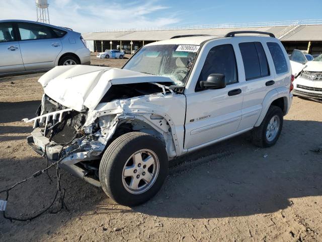 JEEP LIBERTY 2002 1j4gl58k62w327800