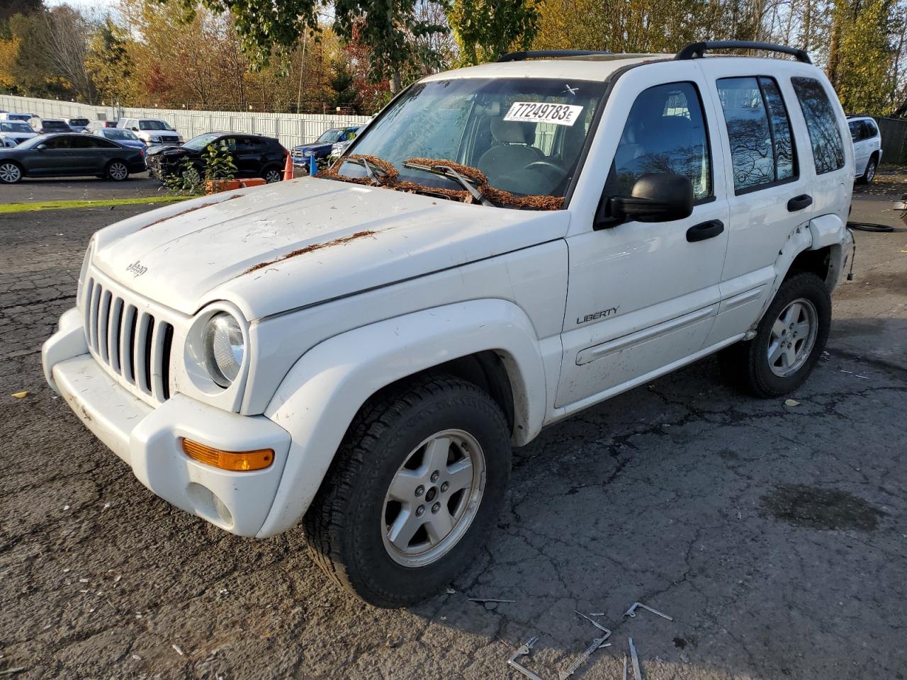 JEEP LIBERTY (NORTH AMERICA) 2004 1j4gl58k64w217784